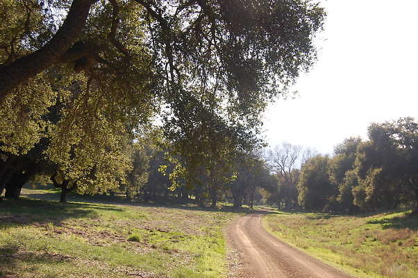 DSC 0951