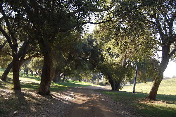 DSC 0956