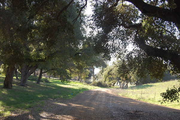 DSC 0957