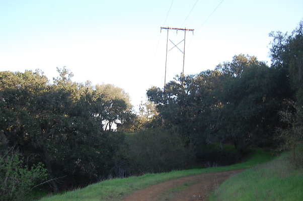 DSC 0046