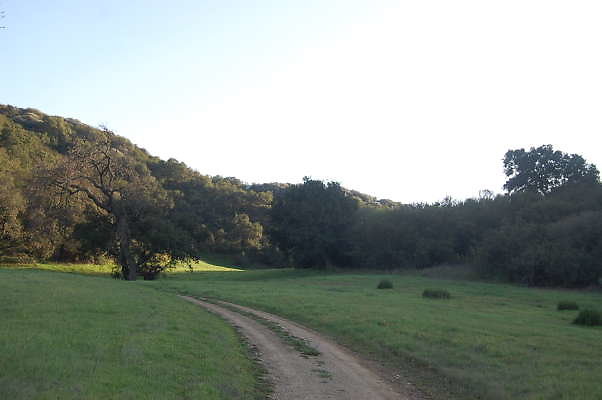 DSC 0040