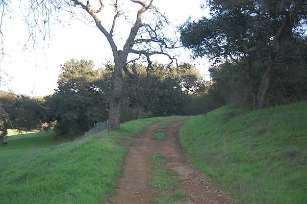DSC 0045