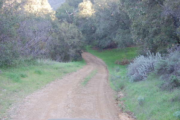 DSC 0059