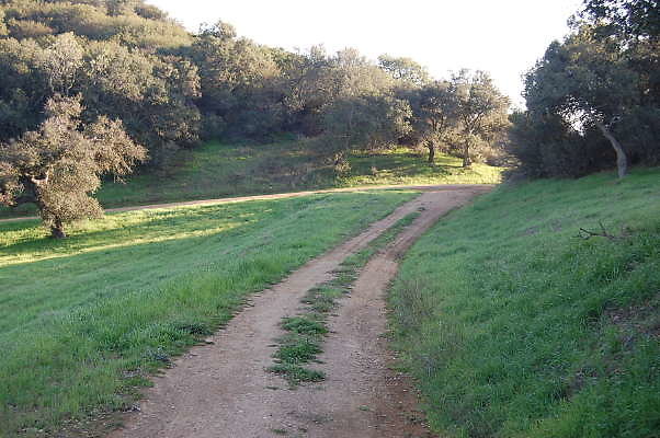 DSC 0063