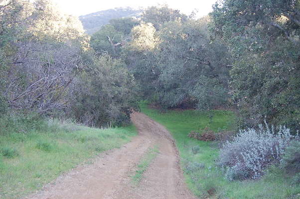 DSC 0060