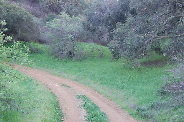 DSC 0053