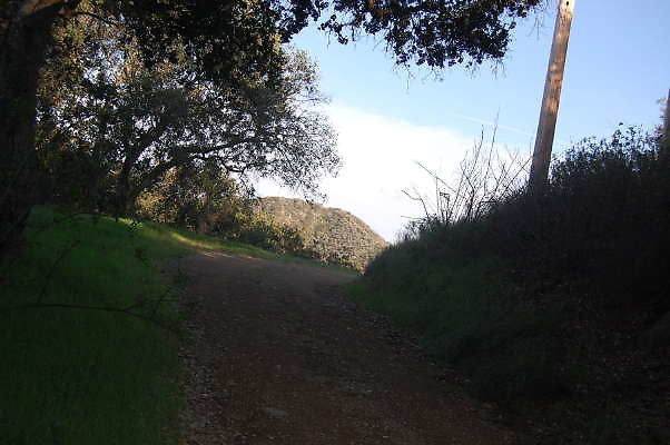 DSC 0050