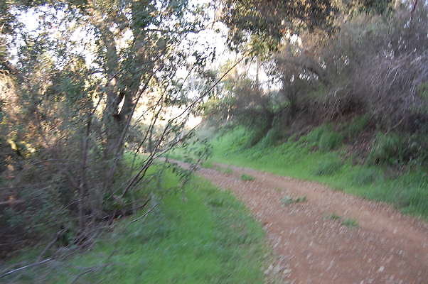 DSC 0055