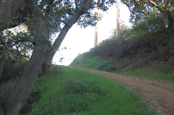 DSC 0049