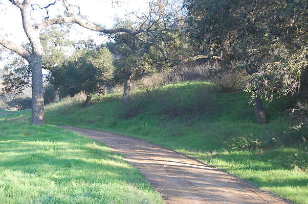 DSC 0042