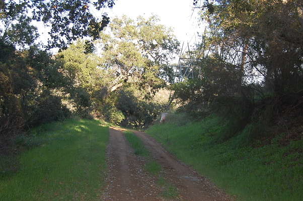 DSC 0056