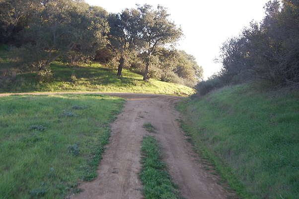 DSC 0064