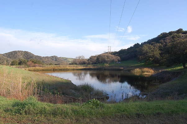 DSC 0038