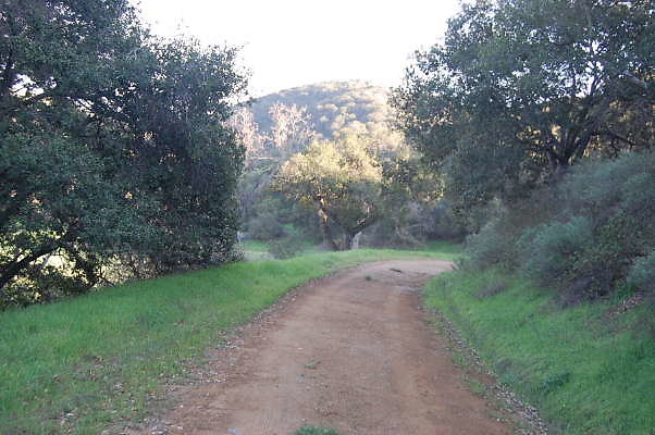 DSC 0062