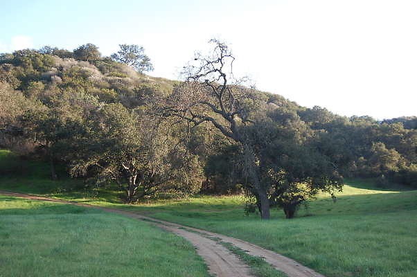 DSC 0041