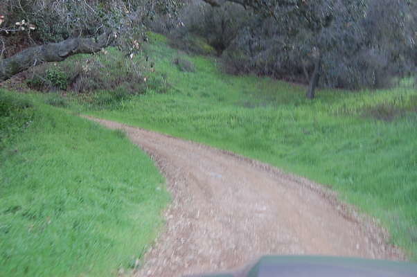 DSC 0048