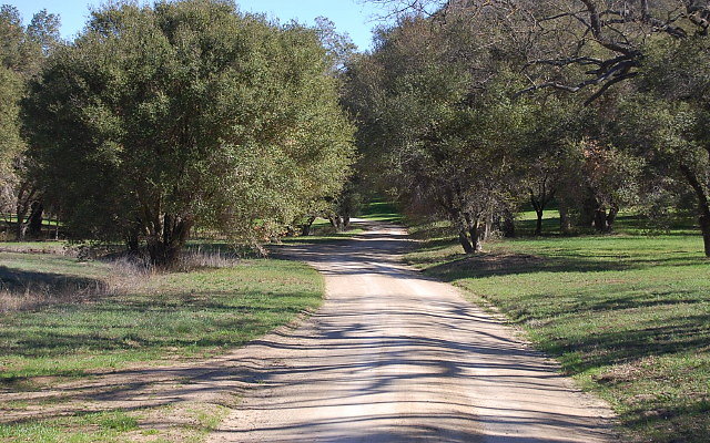 DSC 0031