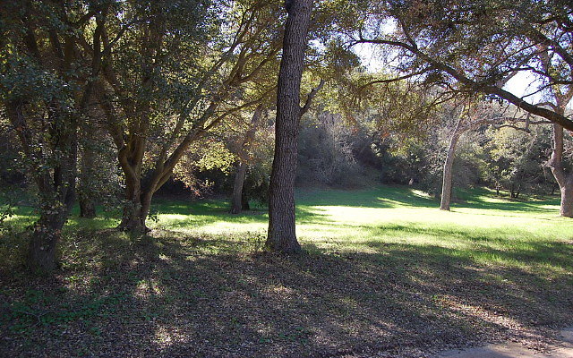DSC 0040