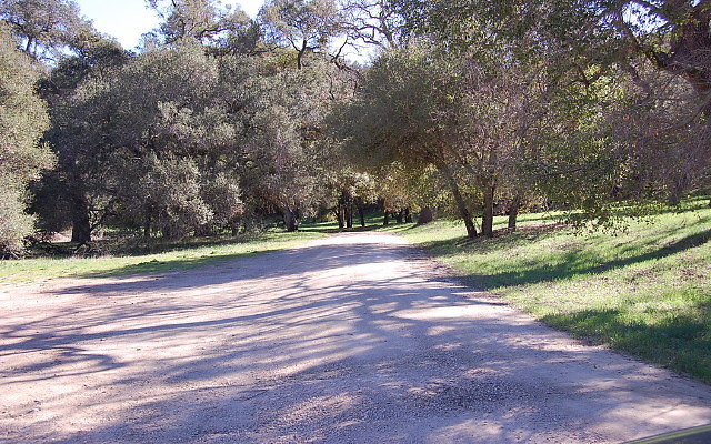 DSC 0028