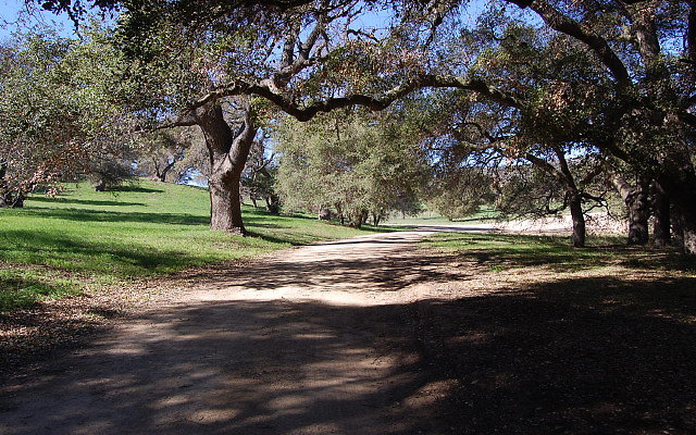 DSC 0029