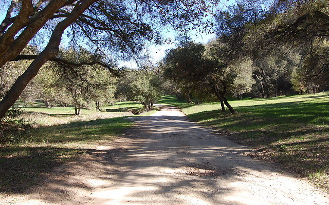 DSC 0037
