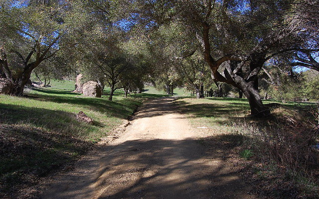 DSC 0084