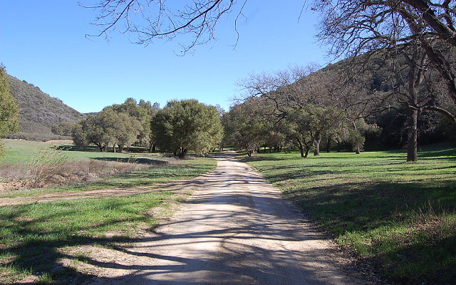 DSC 0034