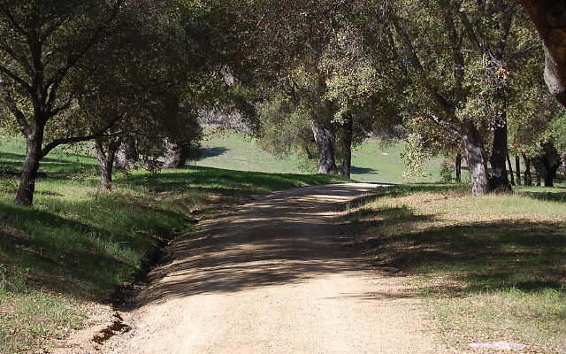 DSC 0083