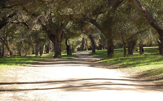DSC 0059