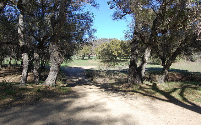 DSC 0063