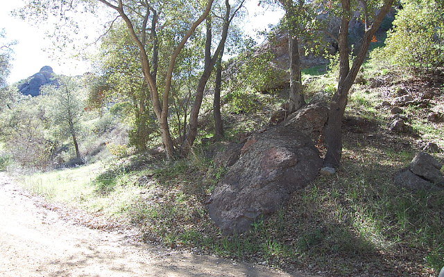 DSC 0076