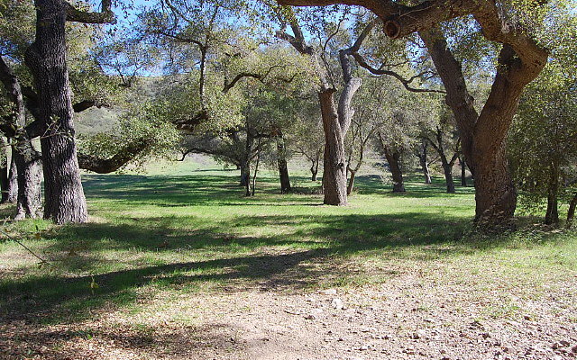 DSC 0074