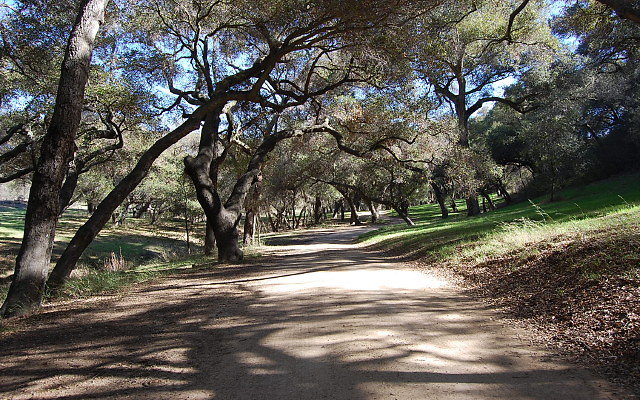 DSC 0055