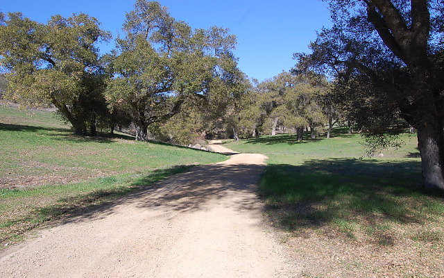DSC 0079