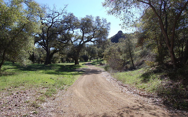 DSC 0073
