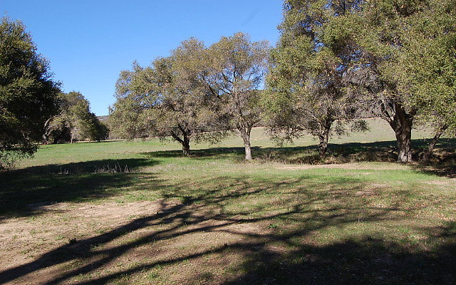 DSC 0042