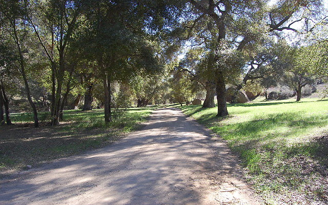 DSC 0080