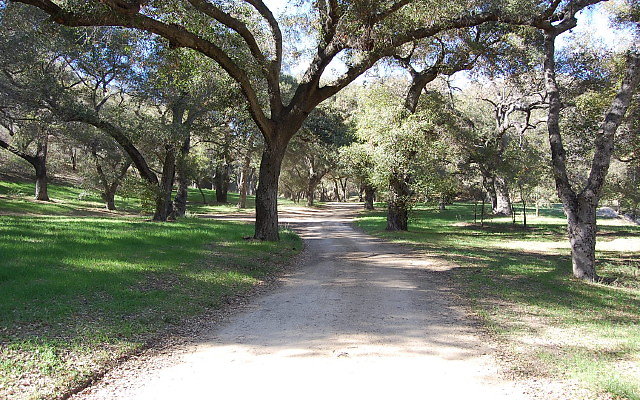 DSC 0061