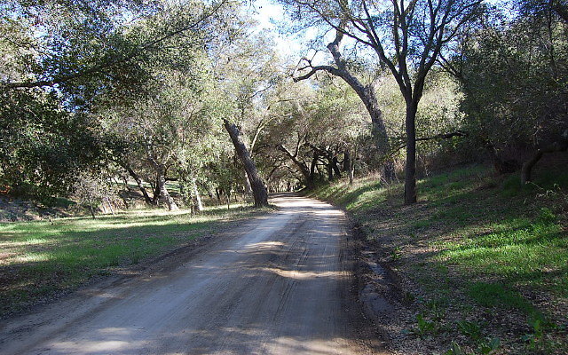 DSC 0051