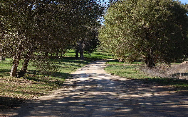 DSC 0042a