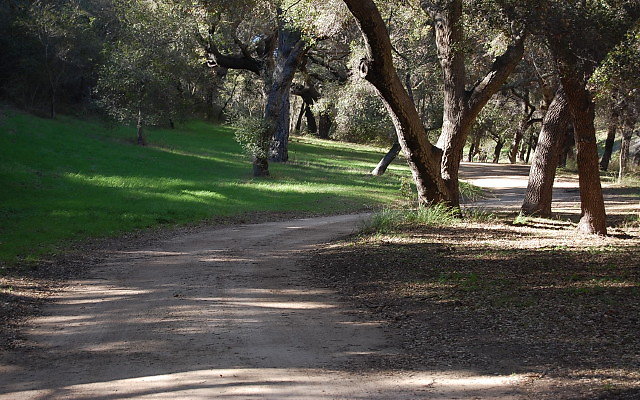 DSC 0058