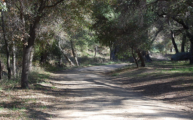 DSC 0068