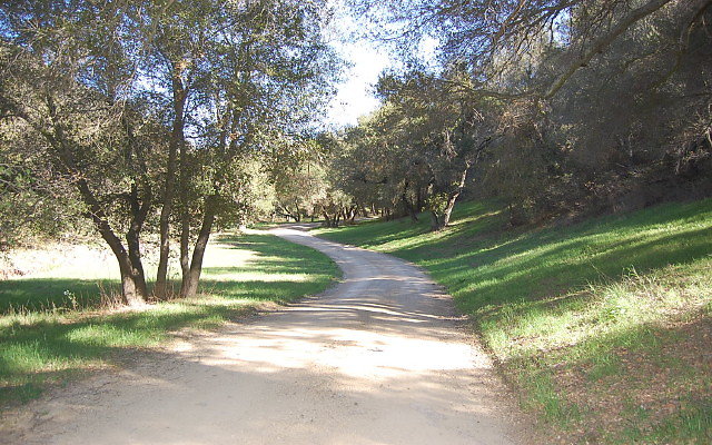DSC 0047