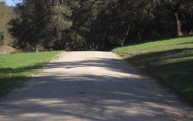 DSC 0044