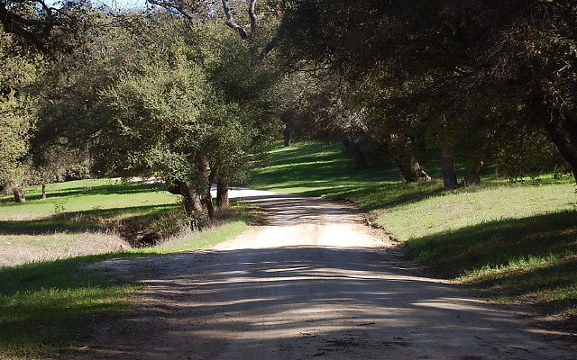 DSC 0038