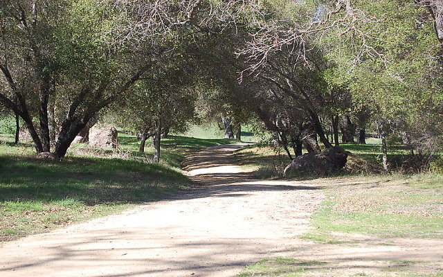 DSC 0087