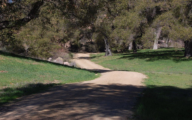 DSC 0078
