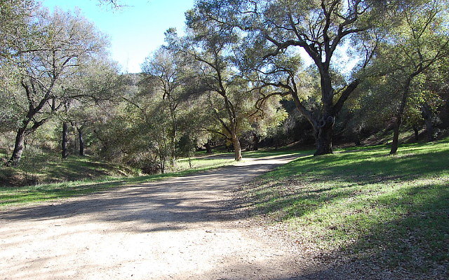DSC 0065
