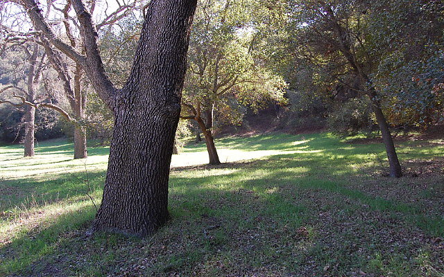 DSC 0035