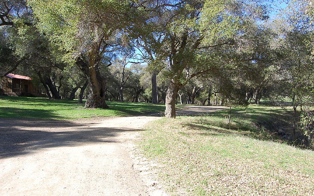 DSC 0067